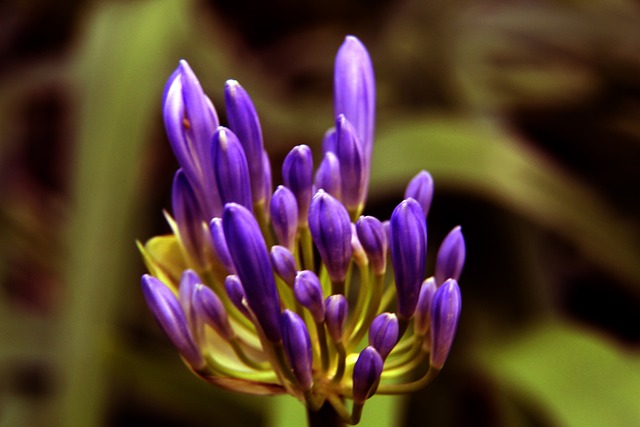 但更让人不 但更让人不