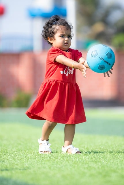 相辅相成 相辅相成