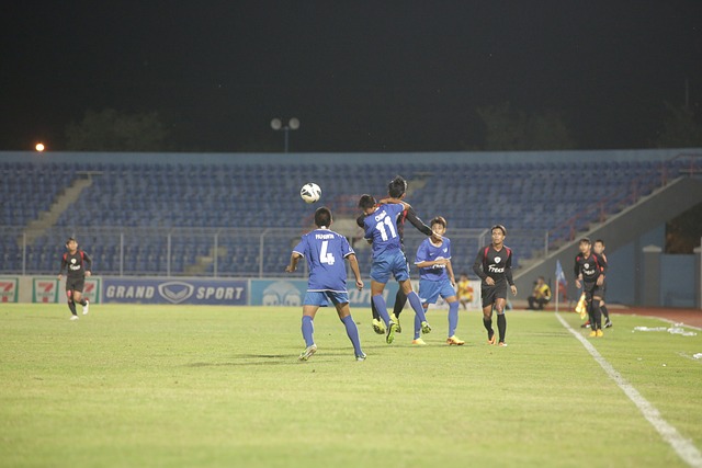 的一大典范 的一大典范