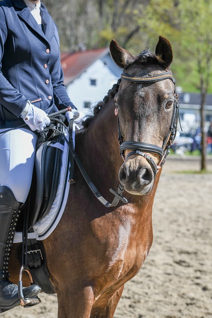 上海不仅是 上海不仅是