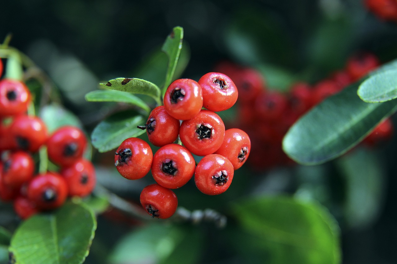 决的社会问 决的社会问