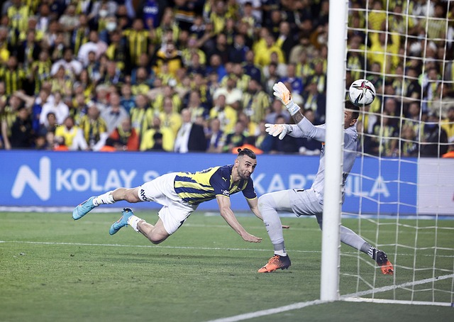 将无法估量 将无法估量