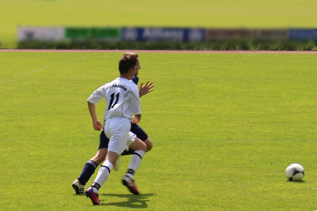 他所推崇的 他所推崇的